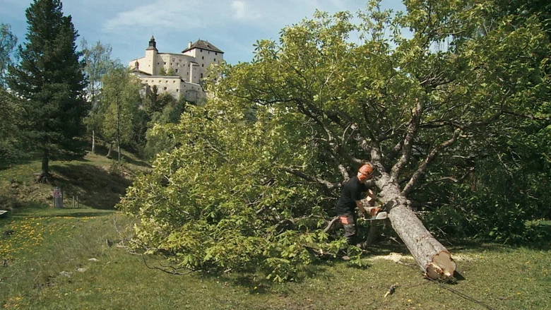 Nos chastè – Das Schloss Tarasp und seine märchenhafte Geschichte screenshot 4