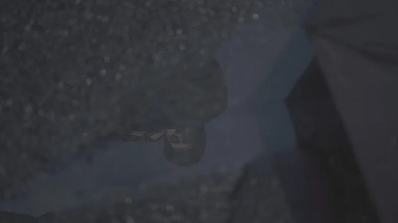 AFTERAIN screenshot 2