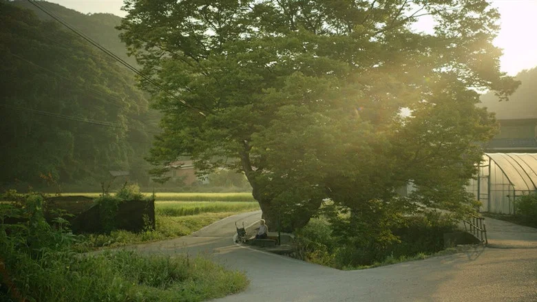 Summer Sounds screenshot 1