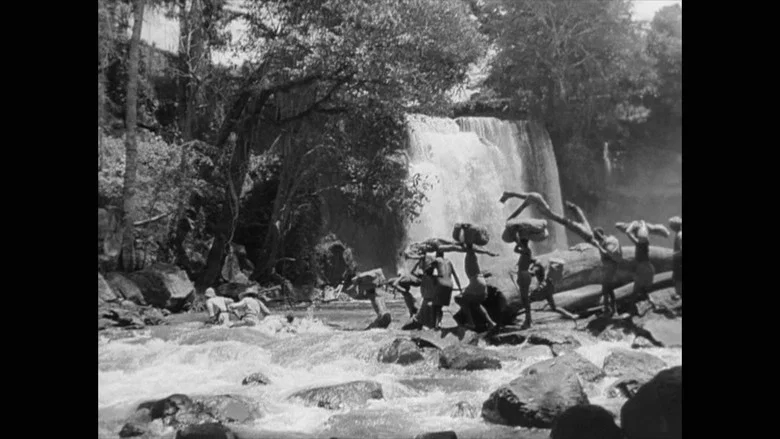 Stanley and Livingstone screenshot 5