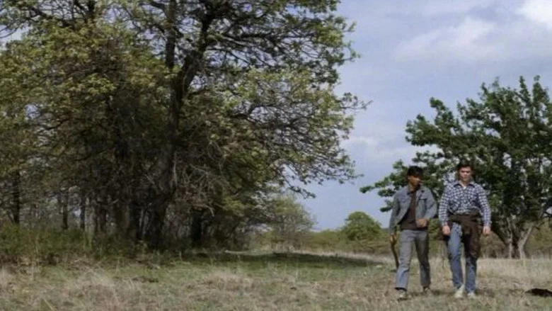 The Outsiders screenshot 5