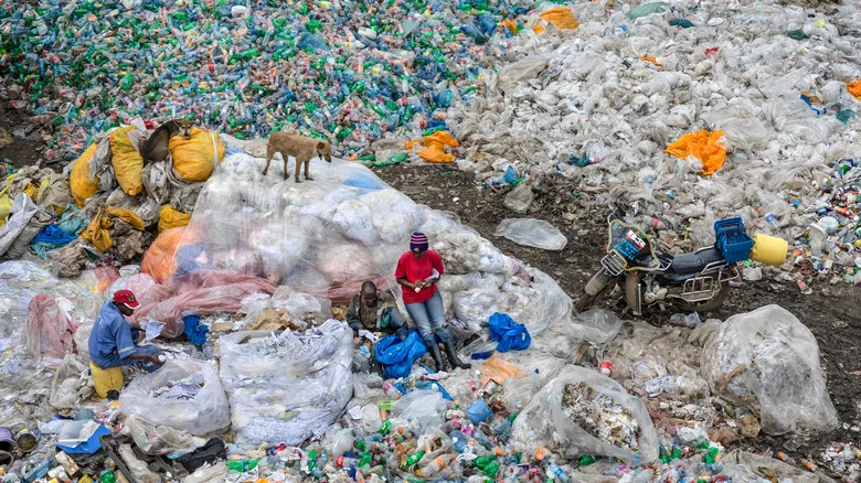 Anthropocene: The Human Epoch screenshot 8