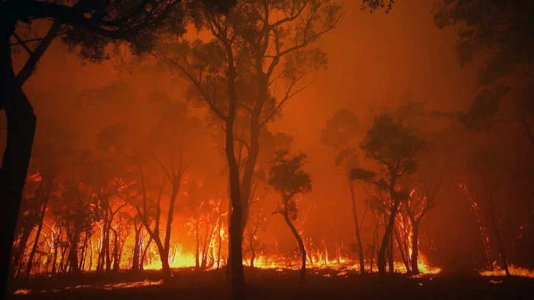 Burning screenshot 1