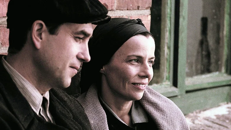 Rose screenshot 6
