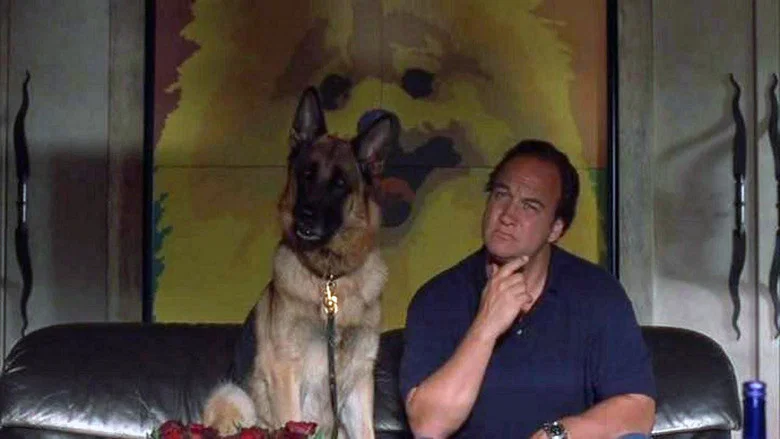K-9: P.I. screenshot 5