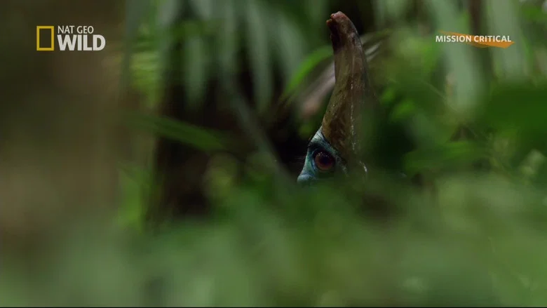 Dino Bird screenshot 2