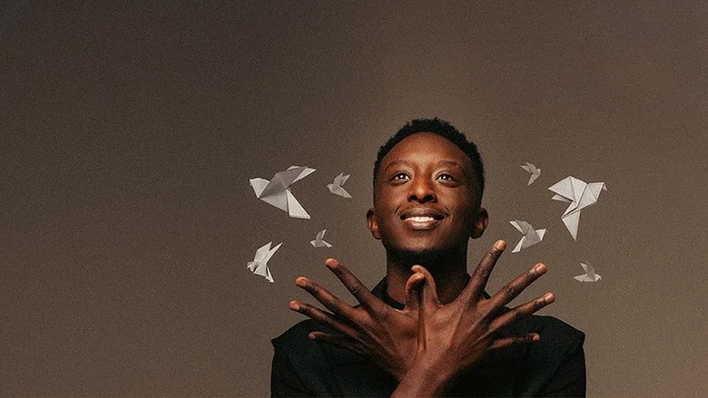 Ahmed Sylla - Origami screenshot 3