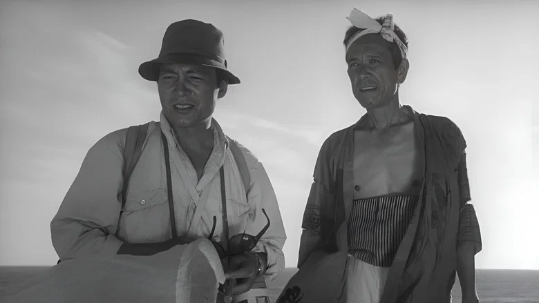 Woman in the Dunes screenshot 3