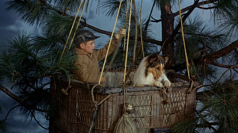 Lassie's Great Adventure screenshot 1