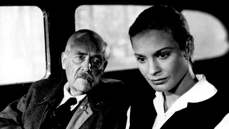 Wild Strawberries screenshot 7