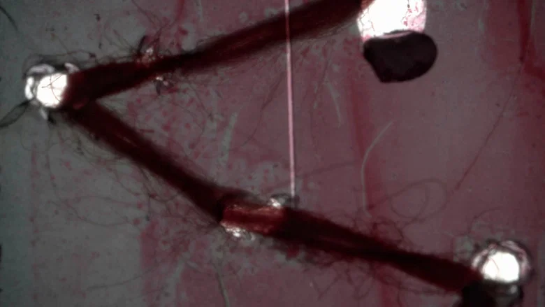 Flesh in Turmoil screenshot 1
