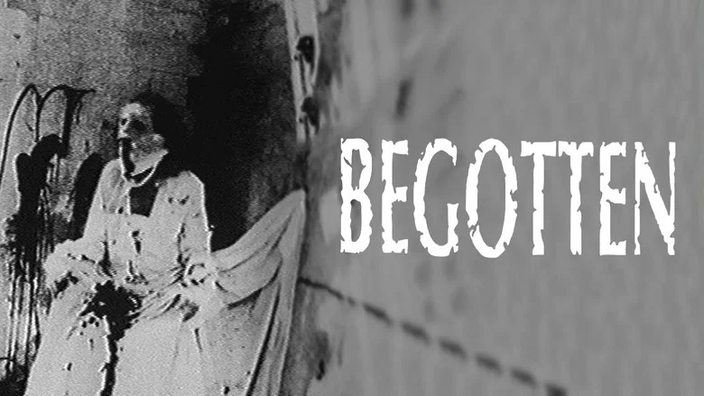 Begotten screenshot 5
