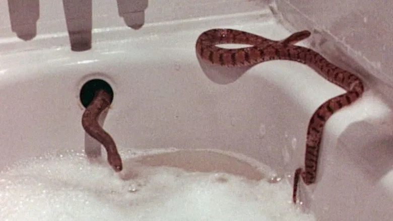 Rattlers screenshot 2