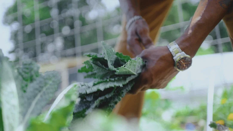 Grow a Better Dallas screenshot 5
