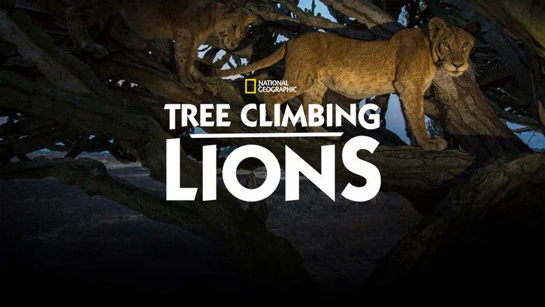 Tree Climbing Lions screenshot 1