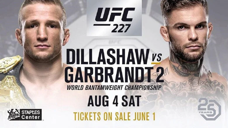 UFC 227: Dillashaw vs. Garbrandt 2 screenshot 1