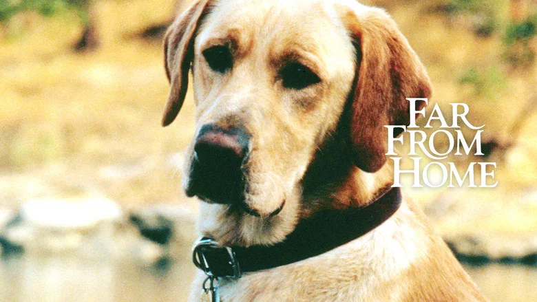 Far from Home: The Adventures of Yellow Dog screenshot 7