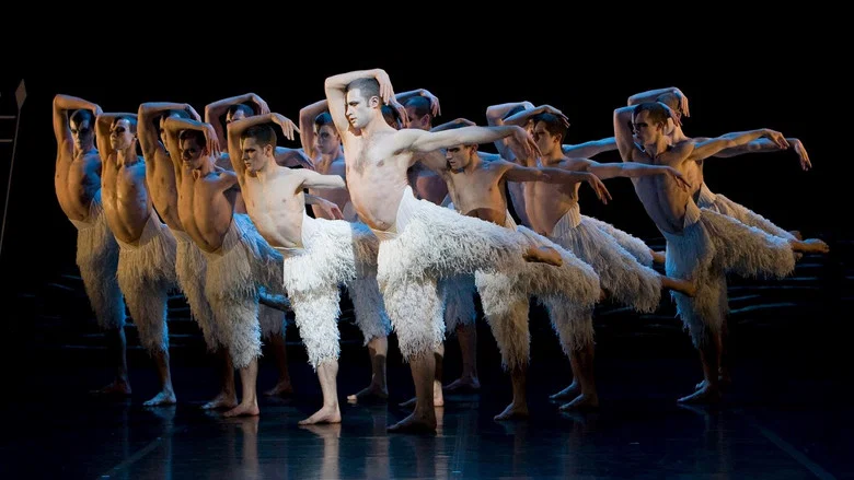 Swan Lake screenshot 2
