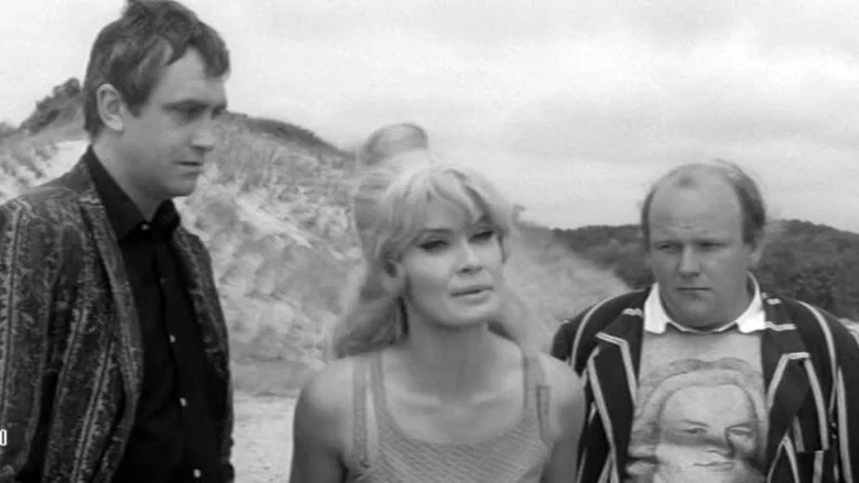French Dressing screenshot 5