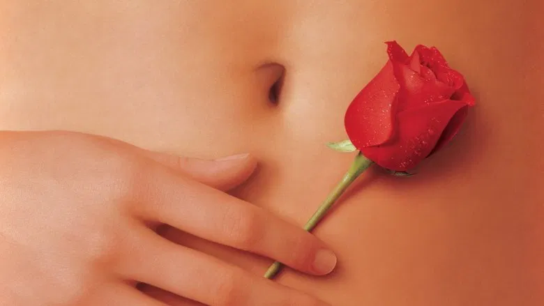 American Beauty screenshot 2