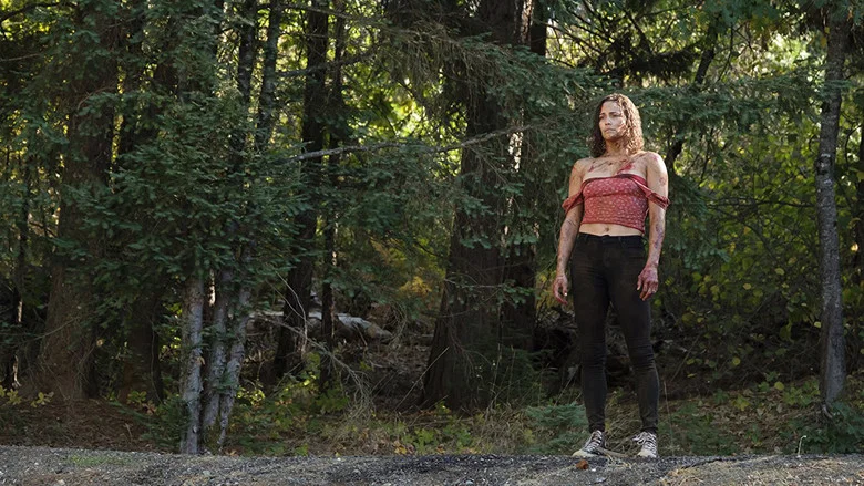 Traffik screenshot 8
