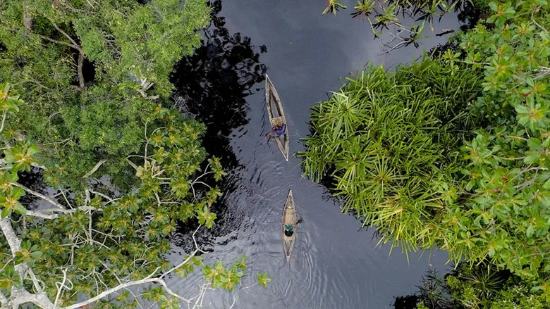 Frontier Sumatra screenshot 1