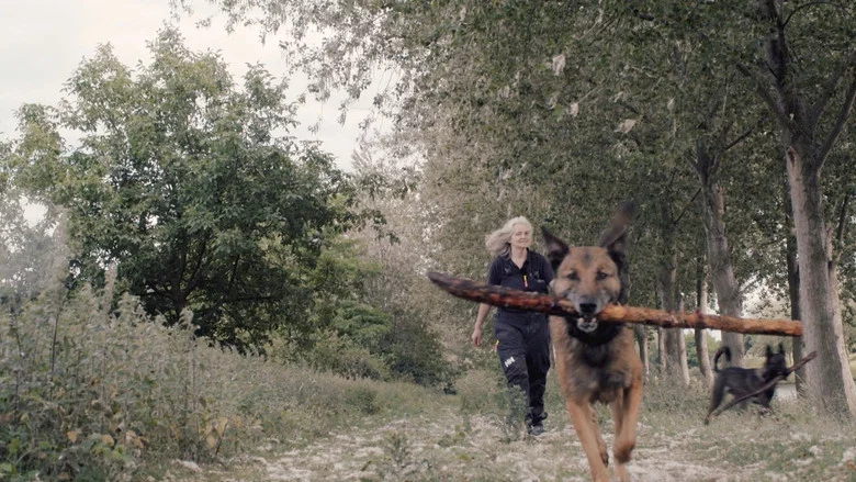 Underdog screenshot 1