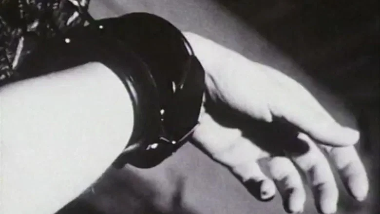 The Sequence of Parallel Bars screenshot 1