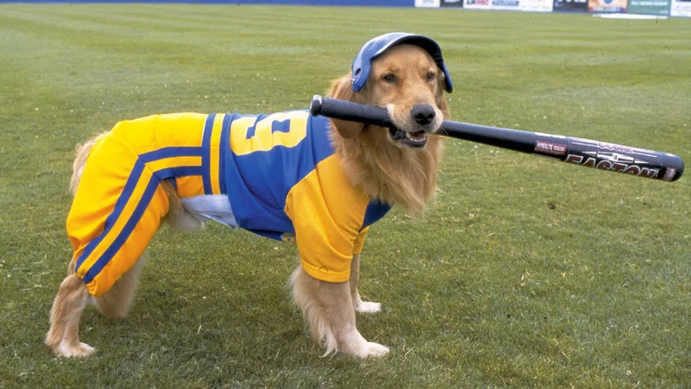 Air Bud: Seventh Inning Fetch screenshot 3