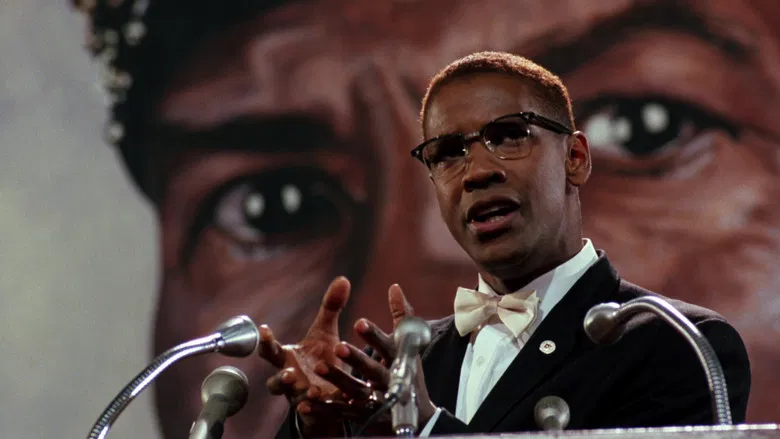 Malcolm X screenshot 3