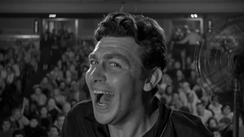 A Face in the Crowd screenshot 1