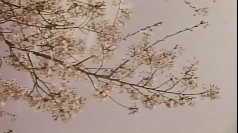 Wakaoku-sama: Futomono-biraki screenshot 1