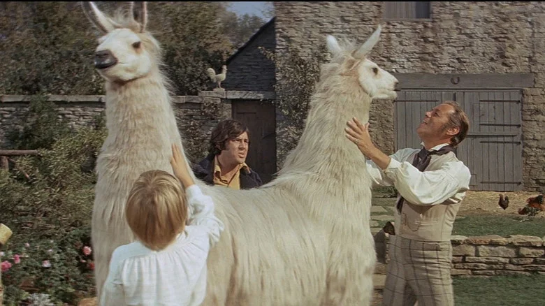 Doctor Dolittle screenshot 1