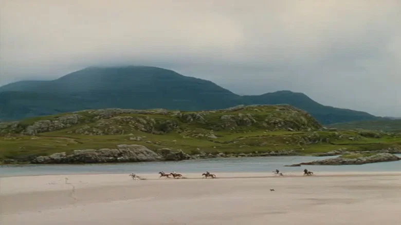 The Quiet Man screenshot 3