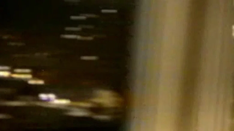 Live Nude Girls Unite! screenshot 4