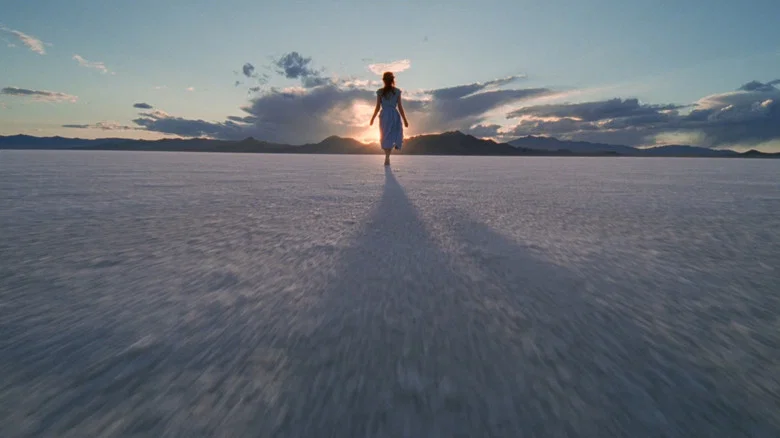 The Tree of Life screenshot 2