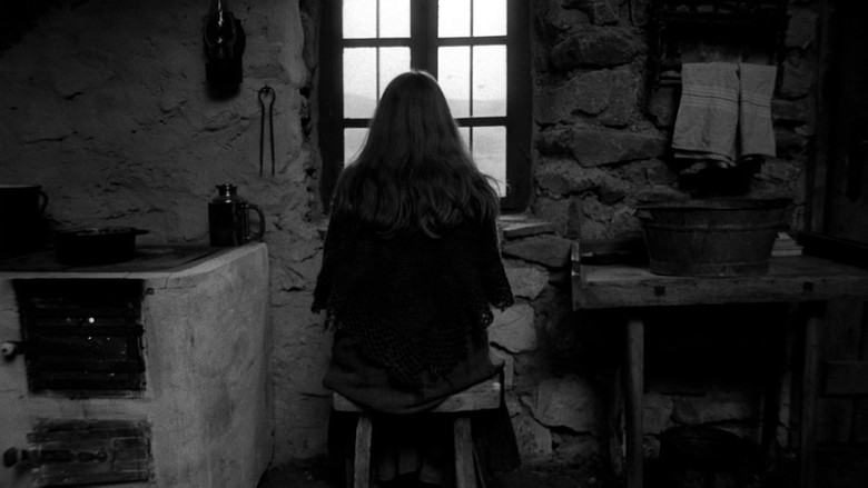 The Turin Horse screenshot 2