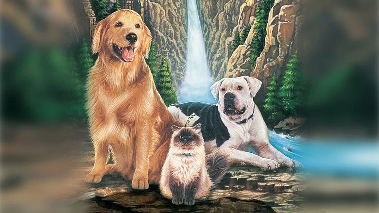 Homeward Bound: The Incredible Journey screenshot 6