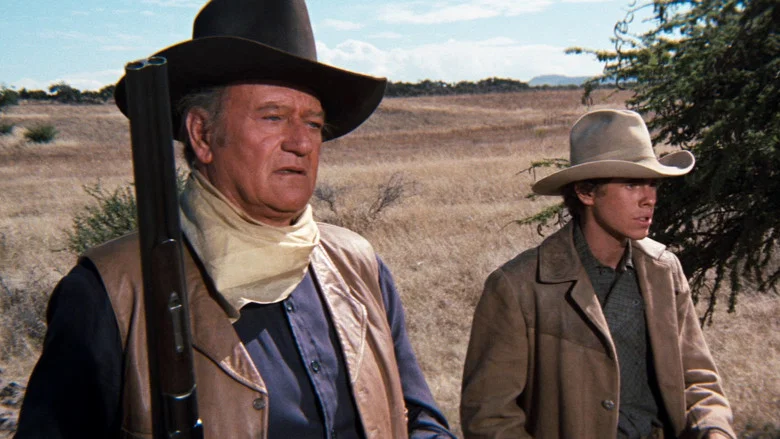 Cahill: United States Marshal screenshot 5