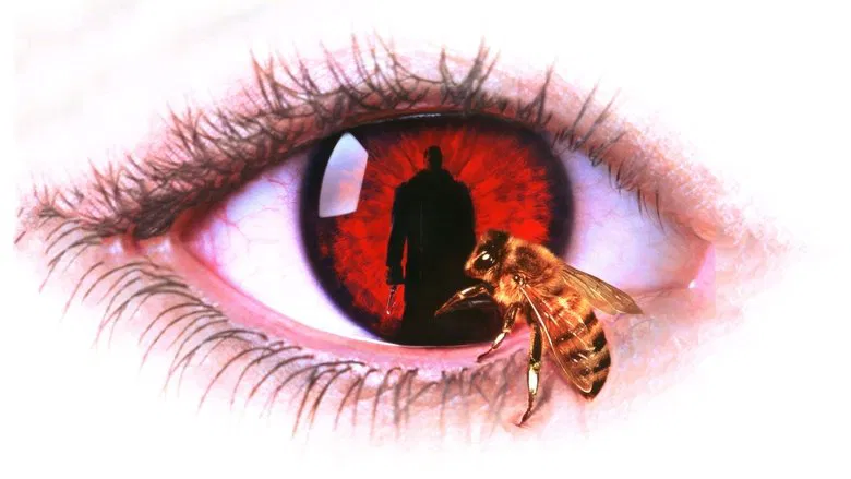 Candyman screenshot 1