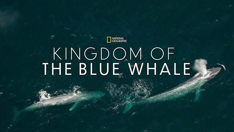 Kingdom of the Blue Whale screenshot 3