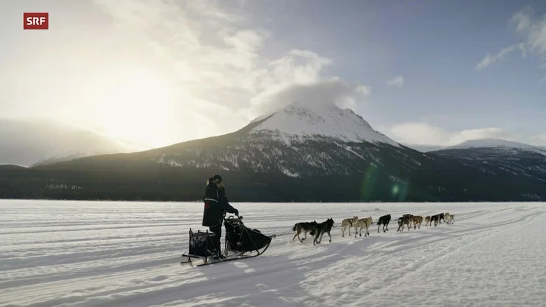 Musher, l'appel de l'Alaska screenshot 1