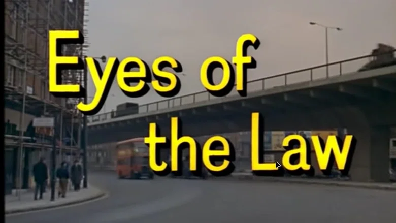 Look at Life: Eyes of the Law screenshot 1