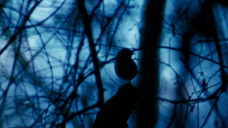 The Legend of Boggy Creek screenshot 7