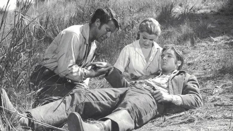 Love Me Tender screenshot 4