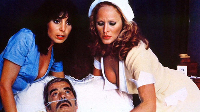 The Sensuous Nurse screenshot 1