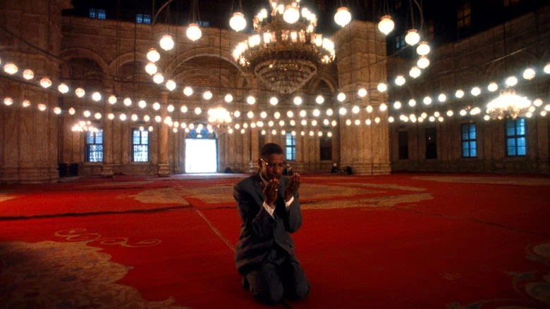 Malcolm X screenshot 5