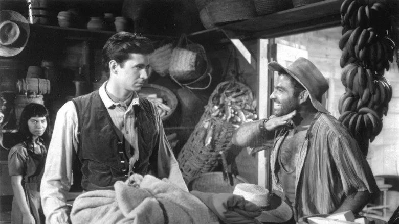 The Lonely Man screenshot 3