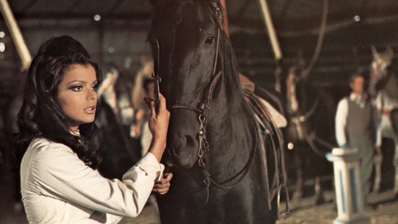 Black Beauty screenshot 1