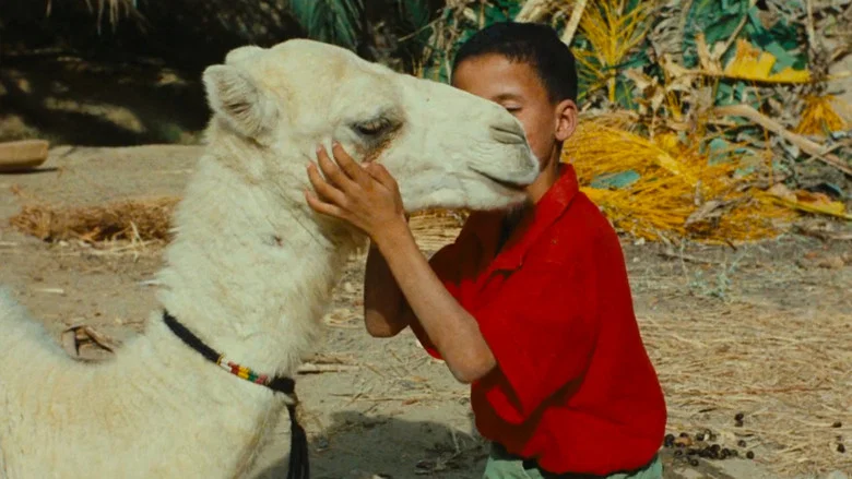 Zaa, the Little White Camel screenshot 2